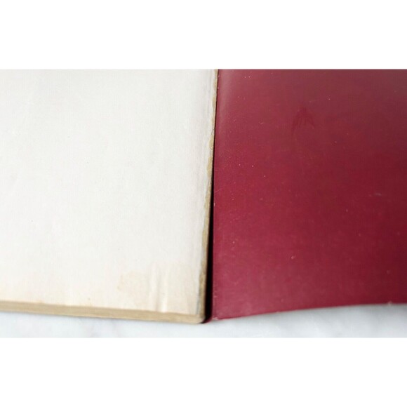 Advanced Dungeons & Dragons The Complete Fighter's Handbook AD & D 2nd Ed 2110 - Picture 13 of 13